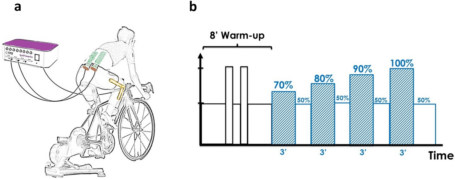 Alterations in magnitude and spatial distribution of erector spinae muscle activity in cyclists with a recent history of low back pain