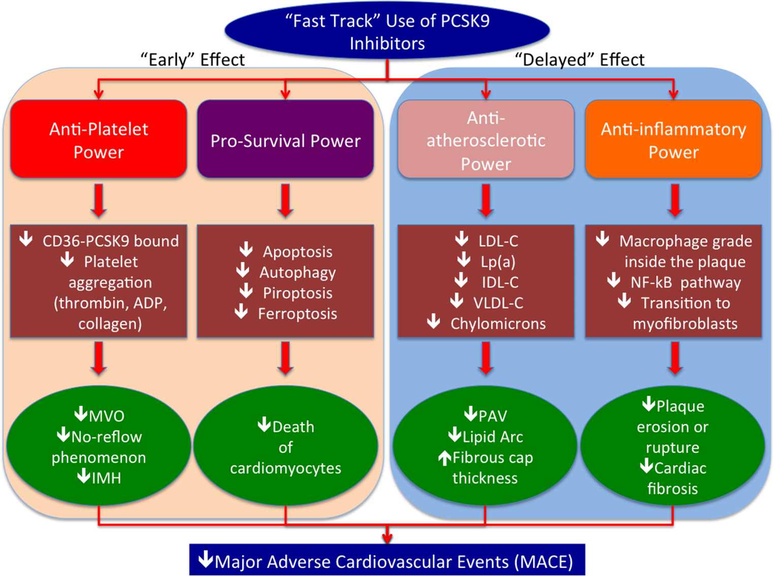 PCSK9 Inhibitors: Is the Time Ripe for the “Fast Track” Use Independently on the LDL-C Baseline Values in Acute Coronary Syndrome?