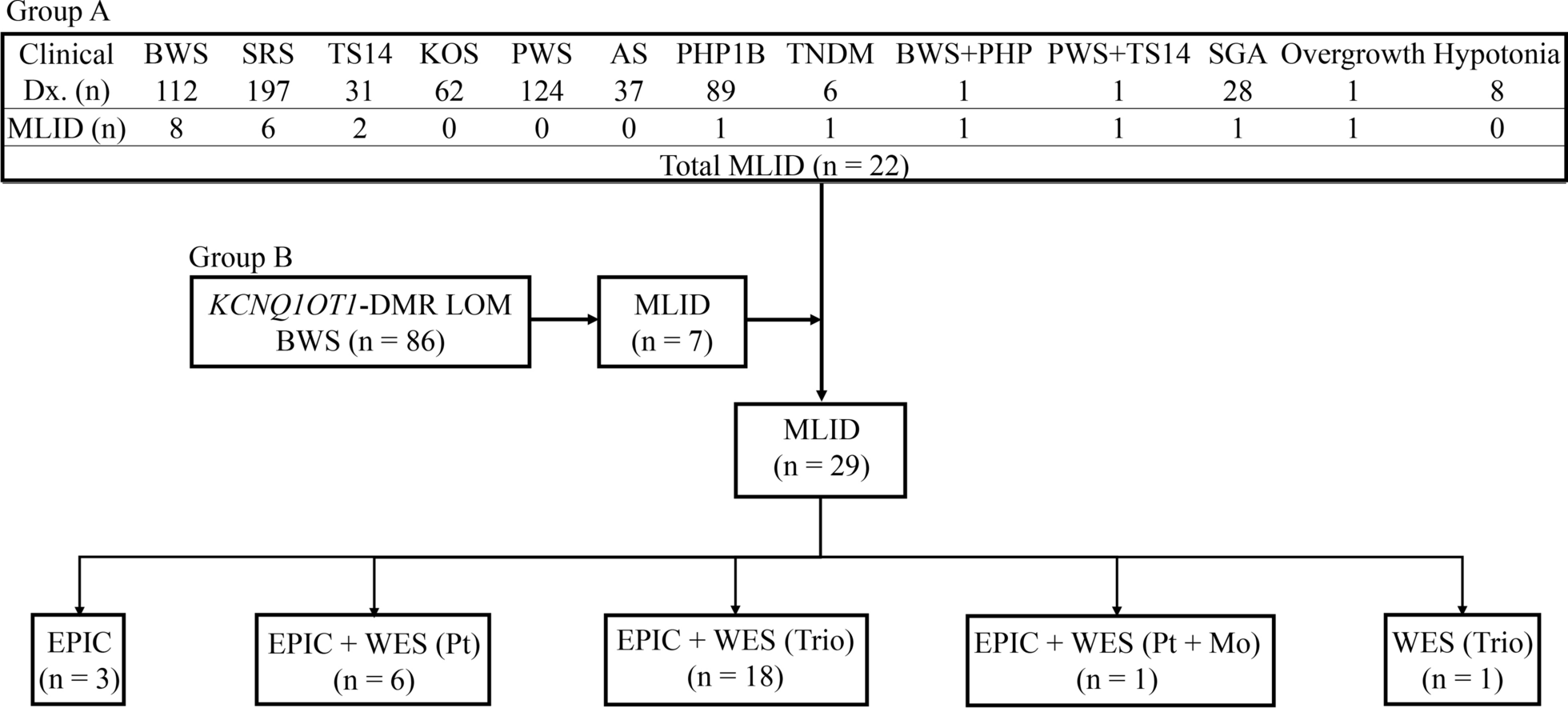 Comprehensive molecular and clinical findings in 29 patients with multi-locus imprinting disturbance