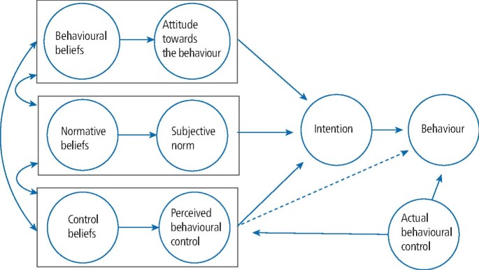 Perceptions and decision-making of dental professionals to adopting sustainable waste management behaviour: a Theory of Planned Behaviour analysis