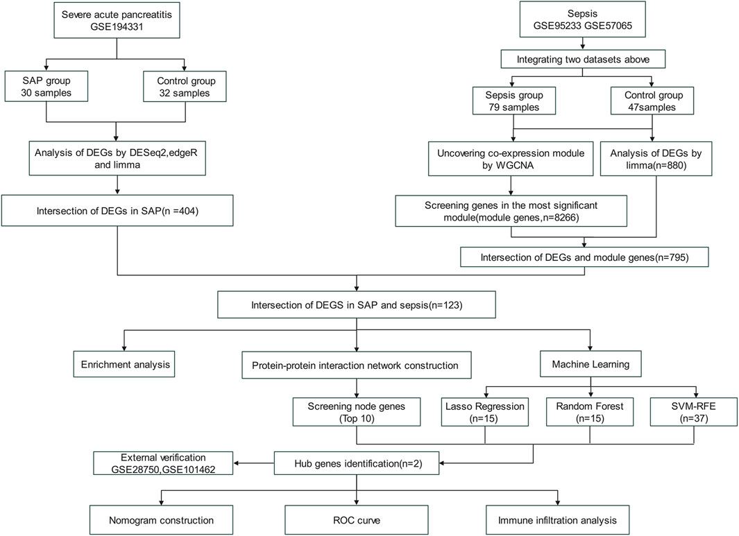 Screening and identification of the hub genes in severe acute pancreatitis and sepsis