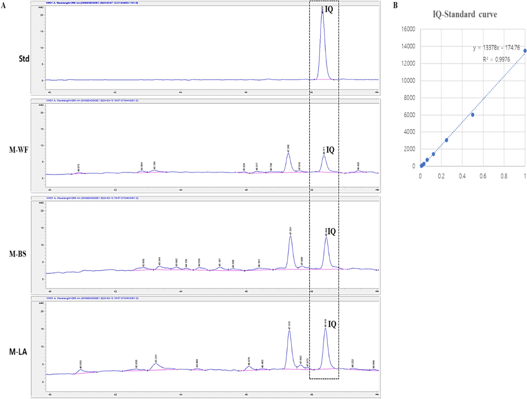 Upgrading Isoquercitrin Concentration via Submerge Fermentation of Mulberry Fruit Extract with Edible Probiotics to Suppress Gene Targets for Controlling Kidney Cancer and Inflammation