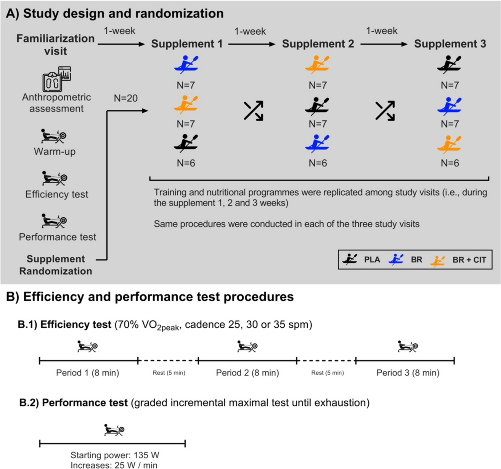 No evidence of improvements in energy metabolism after 1 week of nitrate and citrulline co-supplementation in elite rowers