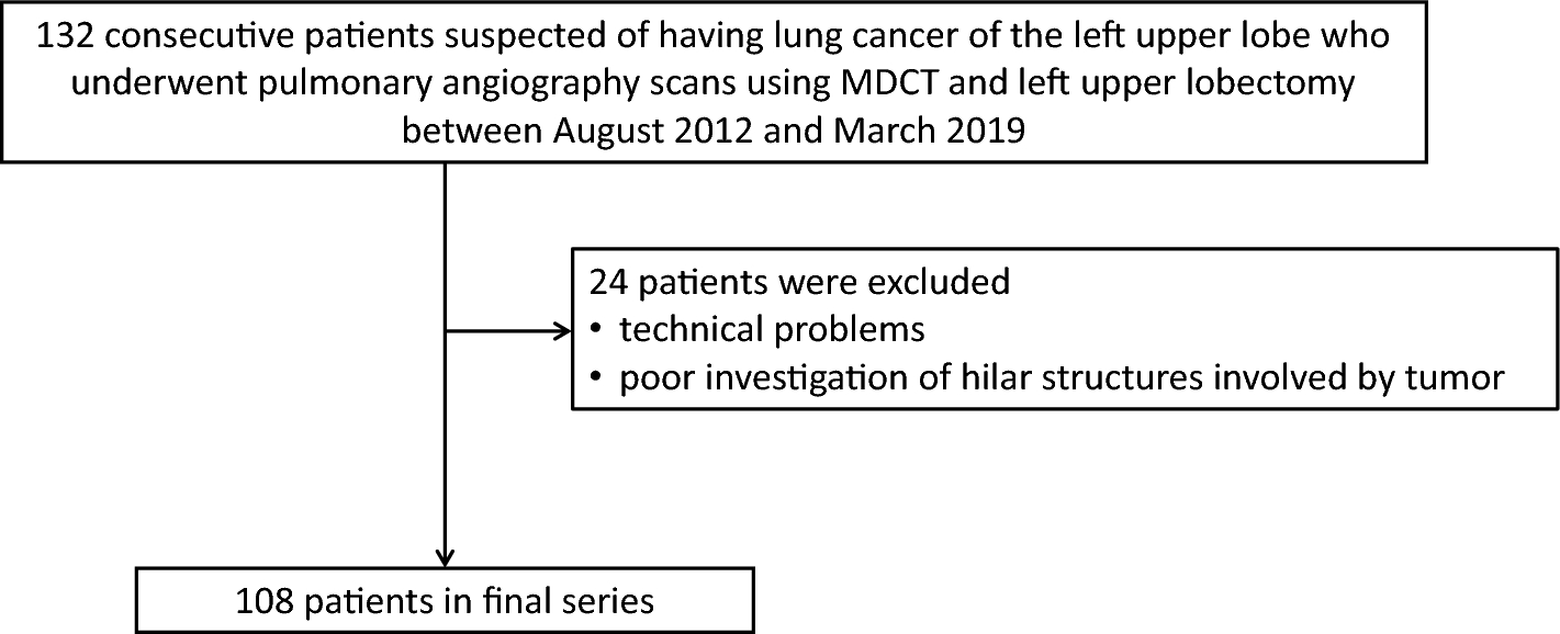 Preoperative evaluation of the segmental artery of left upper lobe by thin-section CT and 3d-CTA