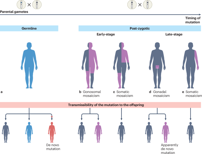 Somatic mutations in autoinflammatory and autoimmune disease