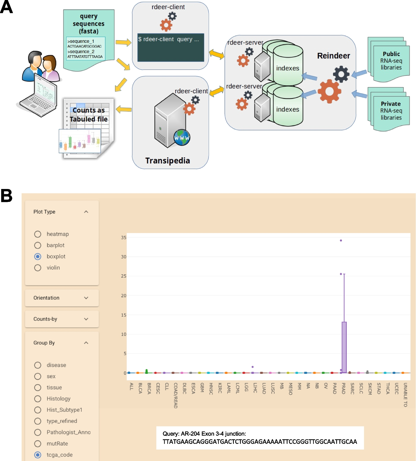 Transipedia.org: k-mer-based exploration of large RNA sequencing datasets and application to cancer data