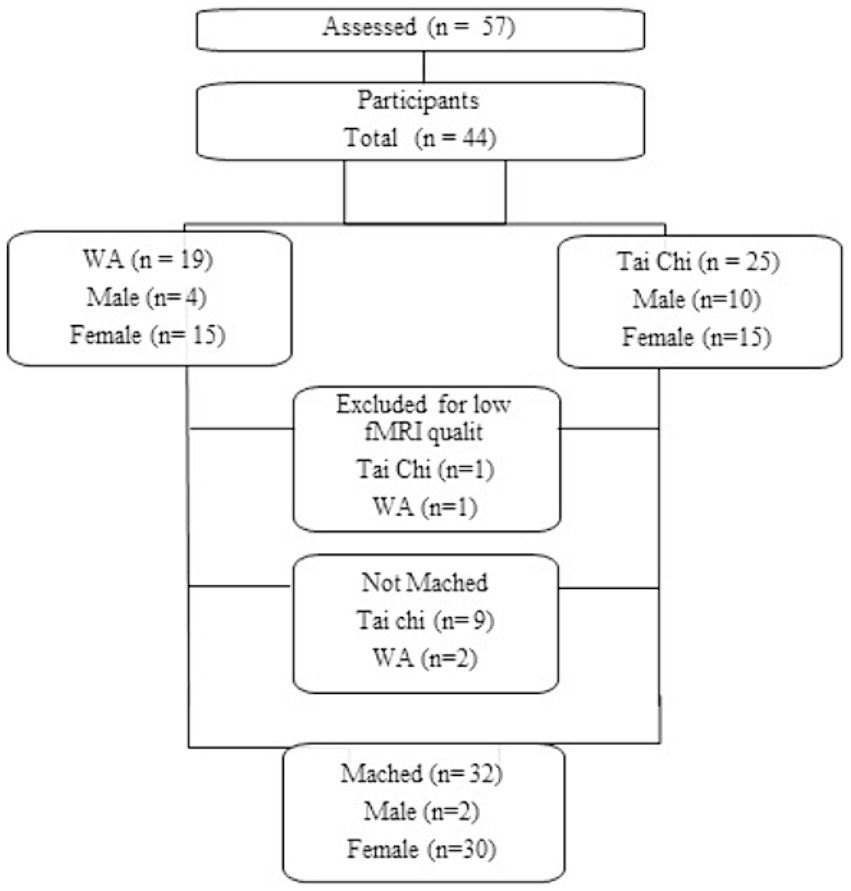 Differences in brain connectivity between older adults practicing Tai Chi and Water Aerobics: a case–control study