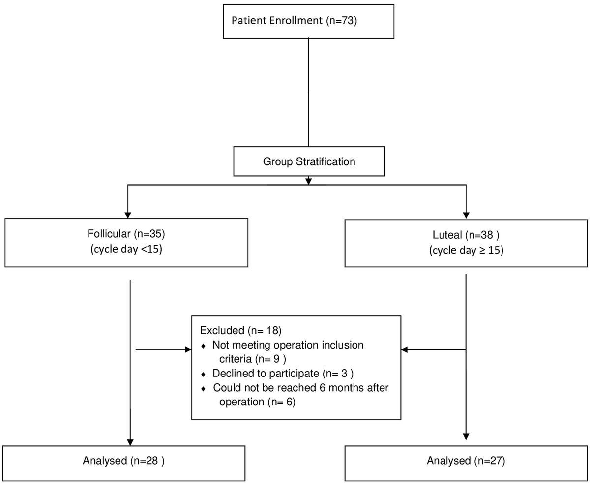 Comparing ovarian reserve parameters after laparoscopic endometrioma resection in the follicular vs. luteal phase: a prospective cohort study