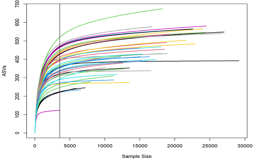 Evaluation of the Human Placental Microbiota in Early- and Late-Onset Pre-Eclampsia