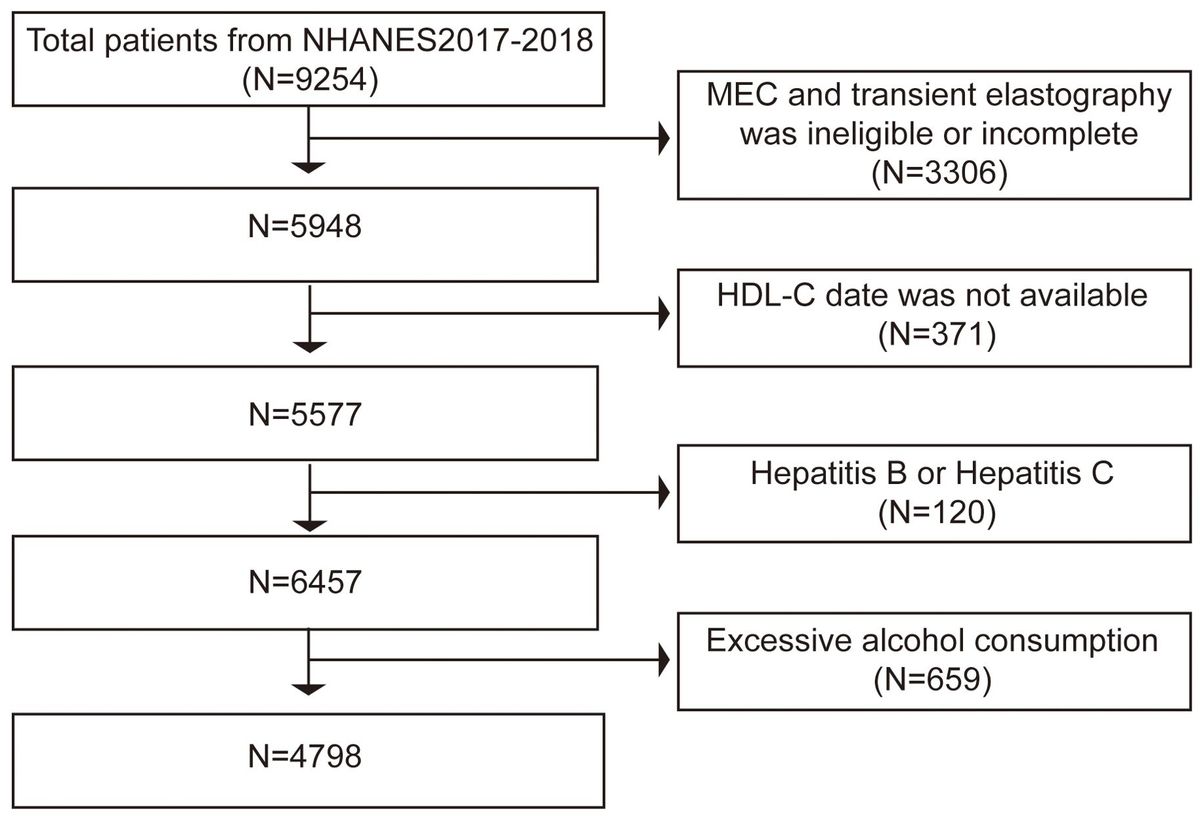 Elevated non-HDL-C to HDL-C ratio as a marker for NAFLD and liver fibrosis risk: a cross-sectional analysis