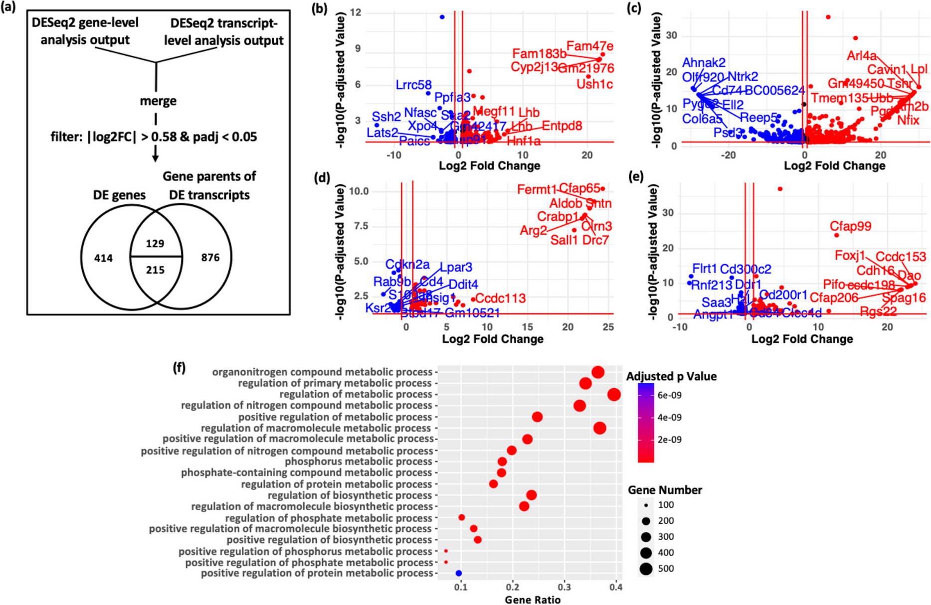 Gene and transcript expression patterns, coupled with isoform switching and long non-coding RNA dynamics in adipose tissue, underlie the longevity of Ames dwarf mice