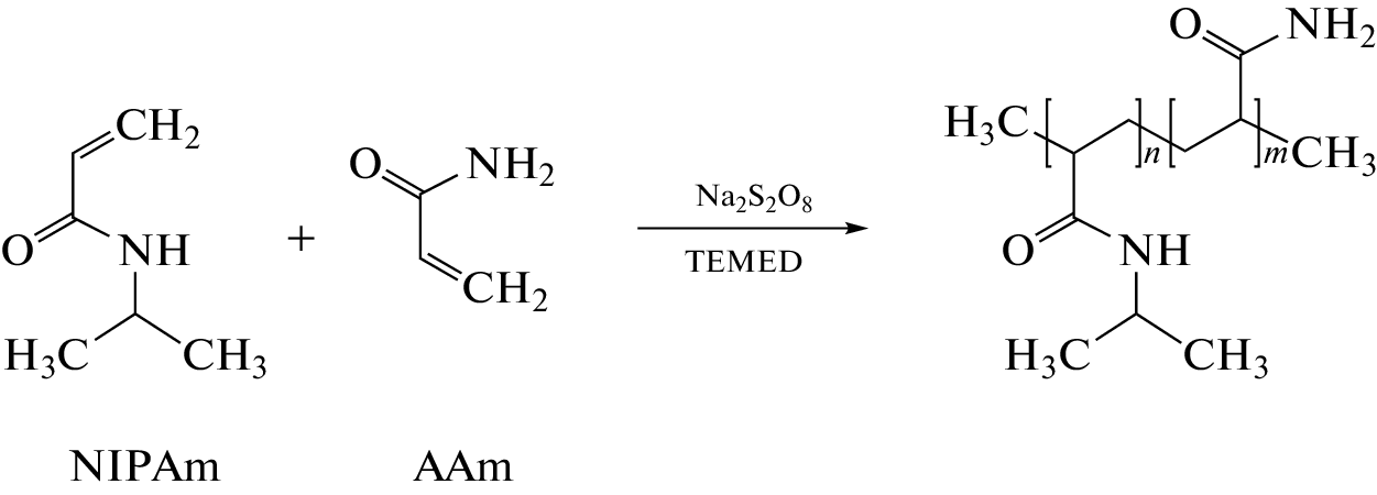 Fabrication and Thermoresponsive Properties of Thin Copolymer Films of N-Isopropylacrylamide and Acrylamide