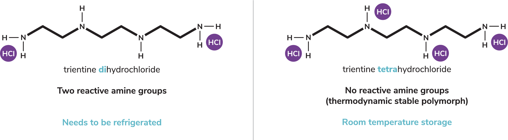 Trientine Tetrahydrochloride, From Bench to Bedside: A Narrative Review