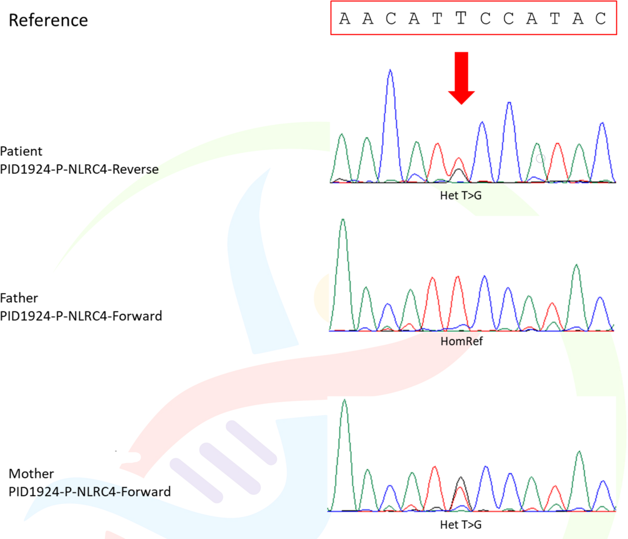 Three cases of autoinflammatory disease with novel NLRC4 mutations, and the first mutation reported in the CARD domain of NLRC4 associated with autoinflammatory infantile enterocolitis (AIFEC)