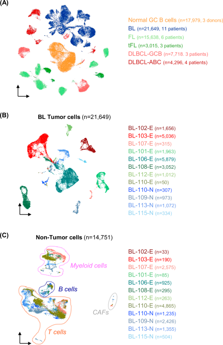 Single-cell transcriptomics of pediatric Burkitt lymphoma reveals intra-tumor heterogeneity and markers of therapy resistance