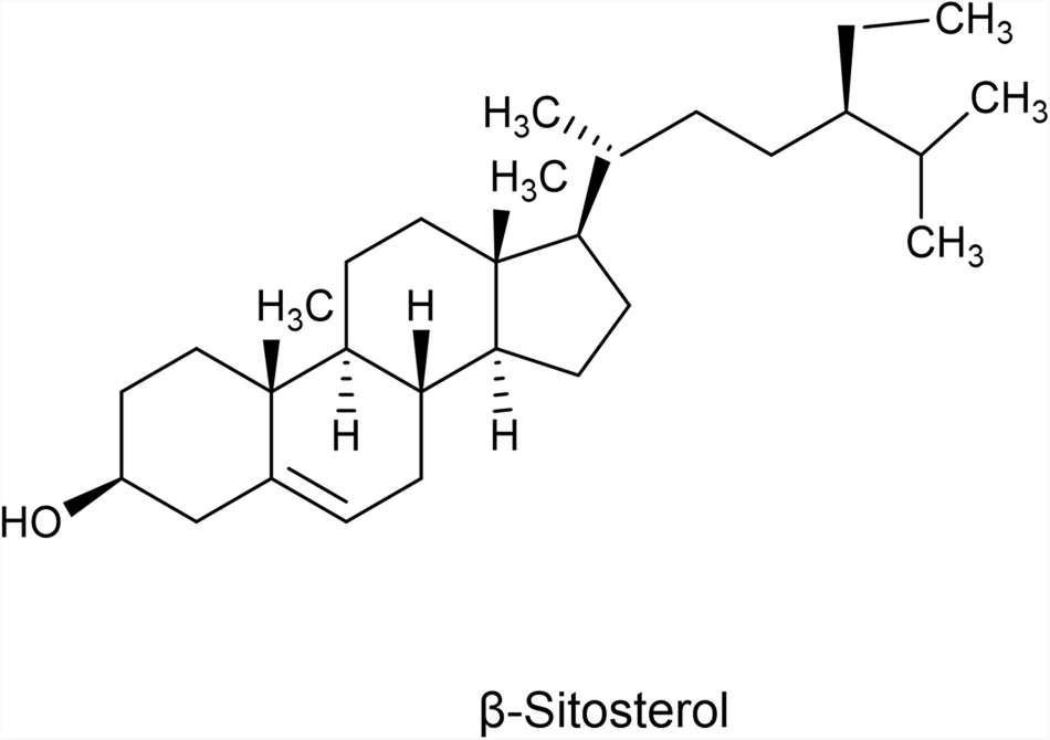 β-Sitosterol Mitigates Apoptosis, Oxidative Stress and Inflammatory Response by Inactivating TLR4/NF-кB Pathway in Cell Models of Diabetic Nephropathy