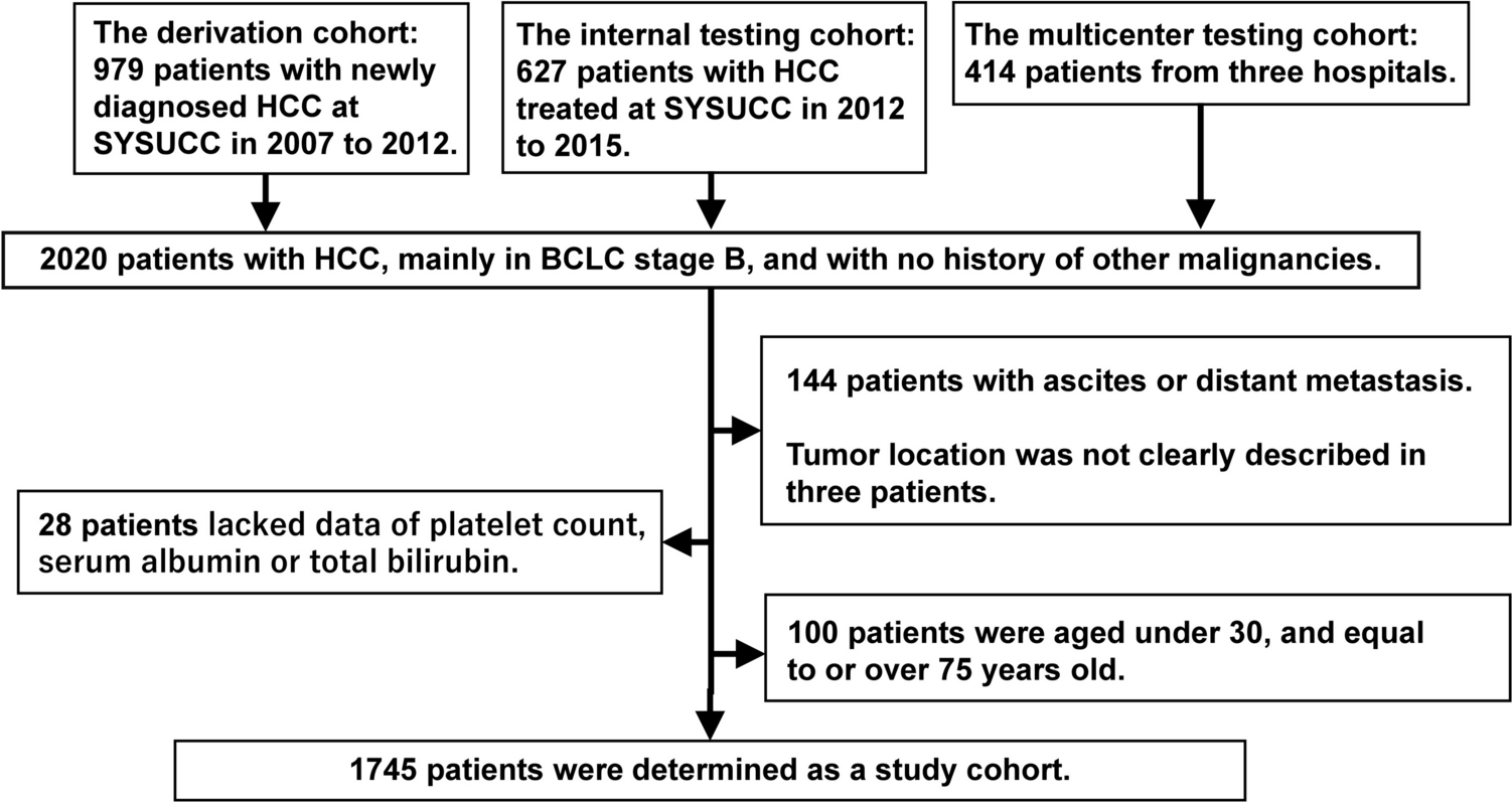 Overall Survival of Young Patients with Hepatocellular Carcinoma in Barcelona Clinic Liver Cancer Stage B in a Retrospective Study Based on a Multicenter Cohort