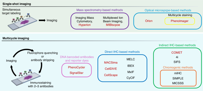 Spatial analysis by current multiplexed imaging technologies for the molecular characterisation of cancer tissues