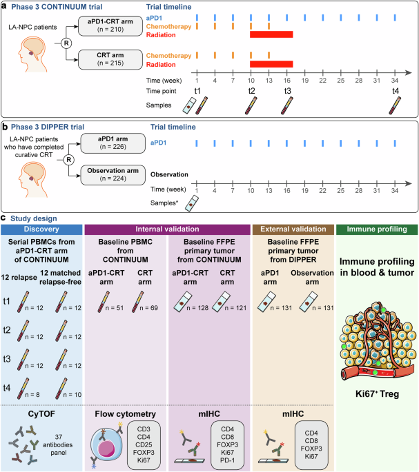 Systemic longitudinal immune profiling identifies proliferating Treg cells as predictors of immunotherapy benefit: biomarker analysis from the phase 3 CONTINUUM and DIPPER trials