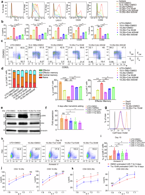 MEK inhibition prevents CAR-T cell exhaustion and differentiation via downregulation of c-Fos and JunB