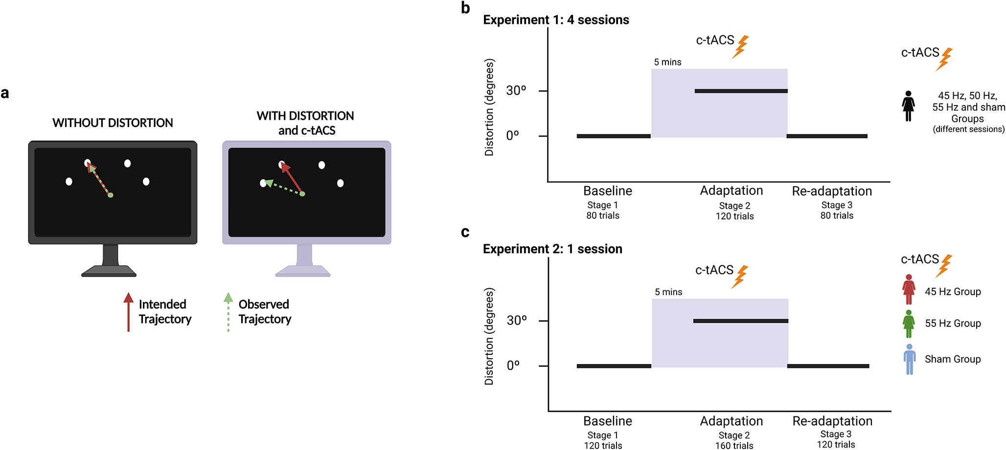 Potentiation of Motor Adaptation Via Cerebellar tACS: Characterization of the Stimulation Frequency