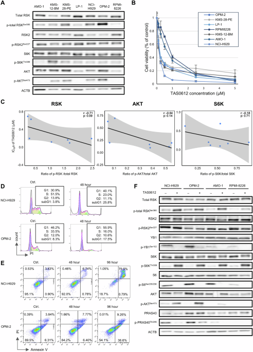 Robust anti-myeloma effect of TAS0612, an RSK/AKT/S6K inhibitor, with venetoclax regardless of cytogenetic abnormalities