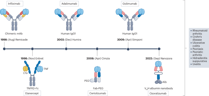 Targeting the TNF and TNFR superfamilies in autoimmune disease and cancer