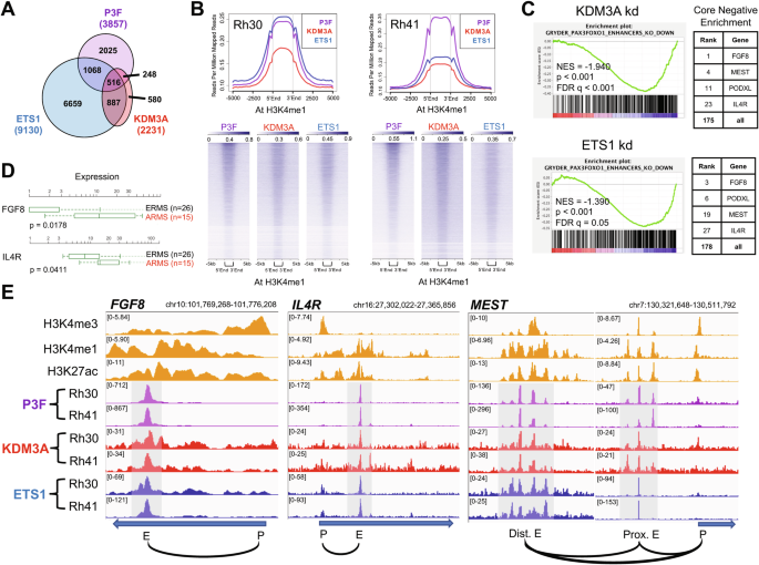 Dependence of PAX3-FOXO1 chromatin occupancy on ETS1 at important disease-promoting genes exposes new targetable vulnerability in Fusion-Positive Rhabdomyosarcoma