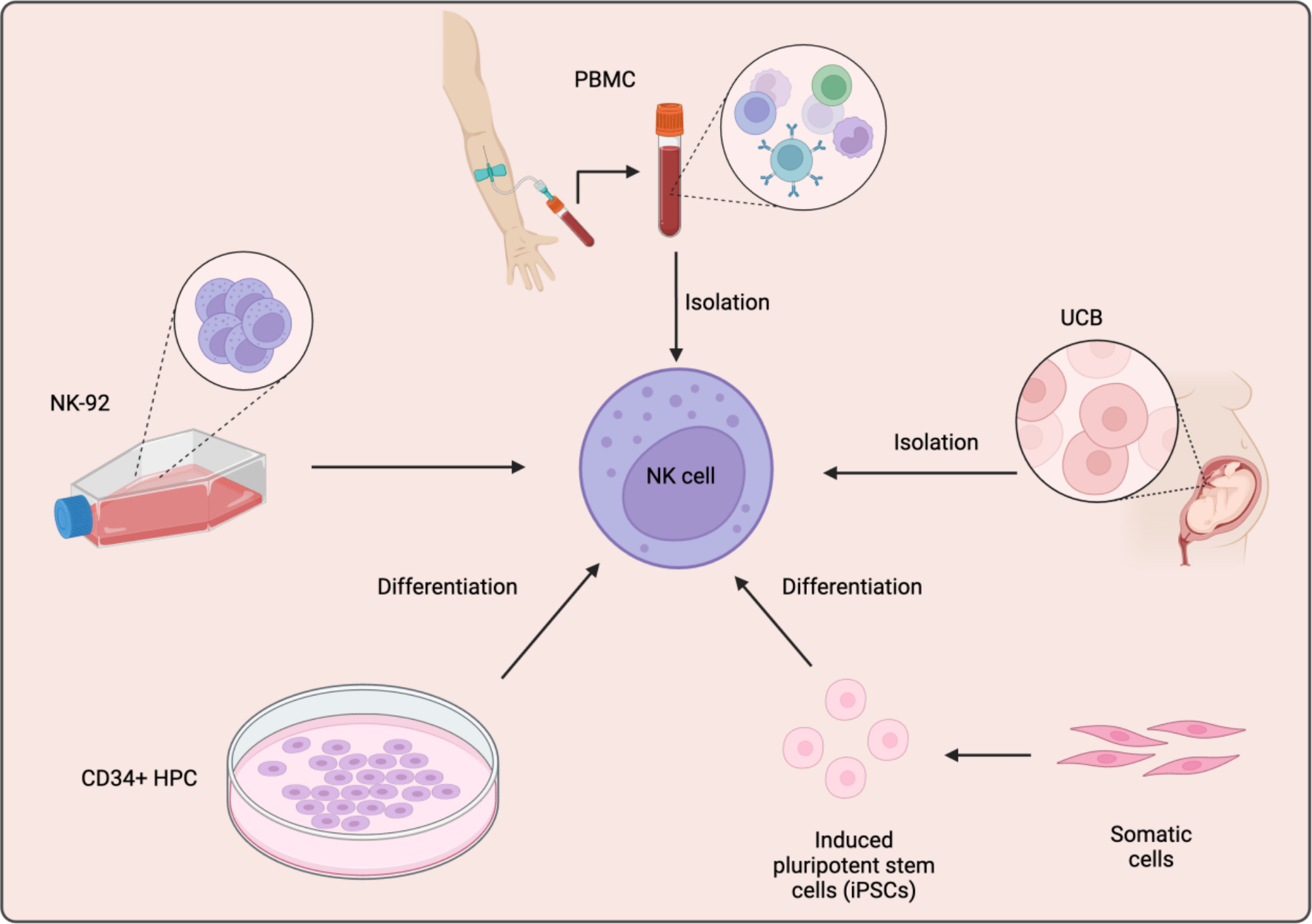 CAR-NK cells for gastrointestinal cancer immunotherapy: from bench to bedside