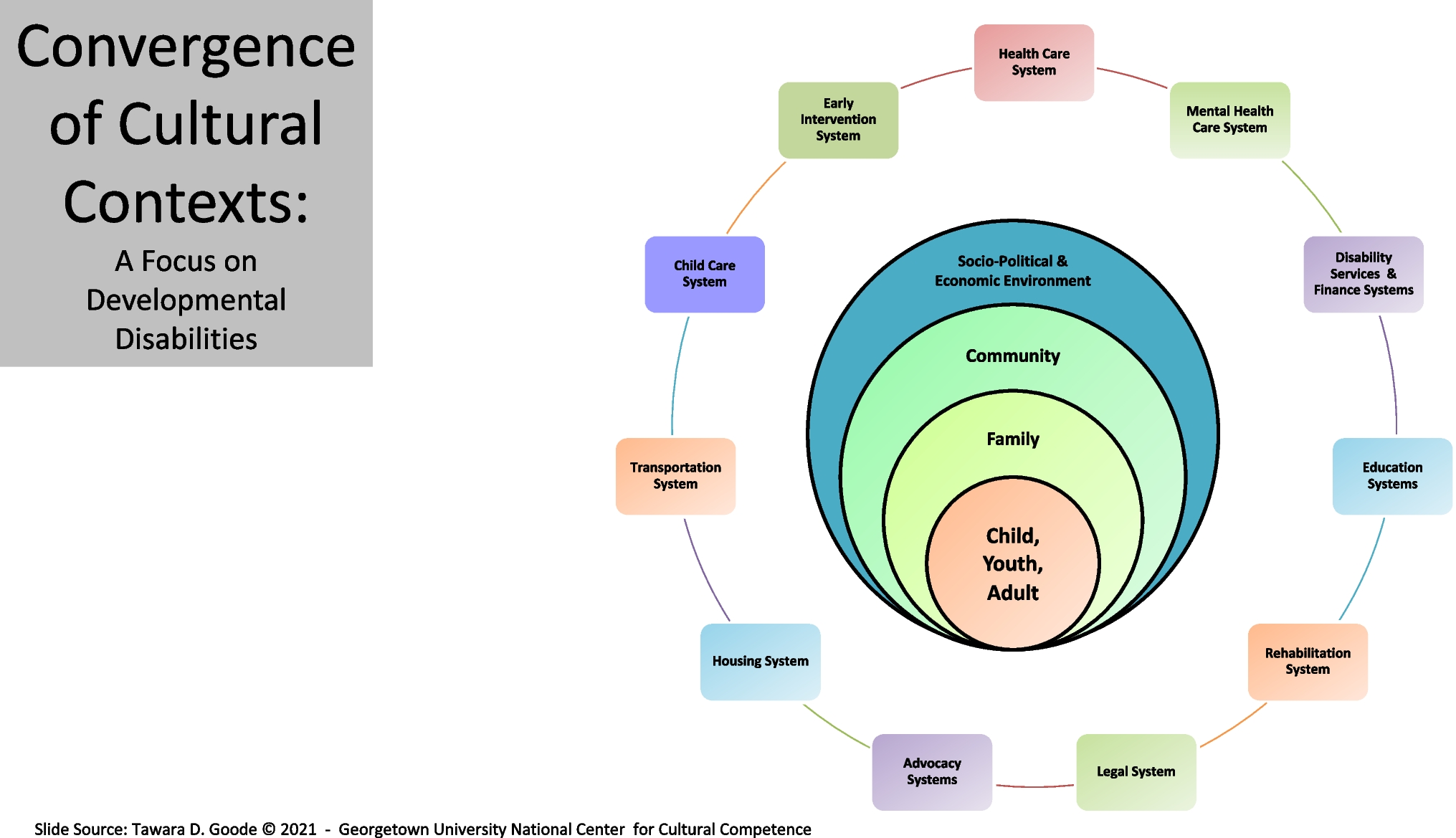 Addressing Stigma-Related Health Disparities for Autistic Individuals Through Cultural Competemility: Insights from Research and Lived Experience