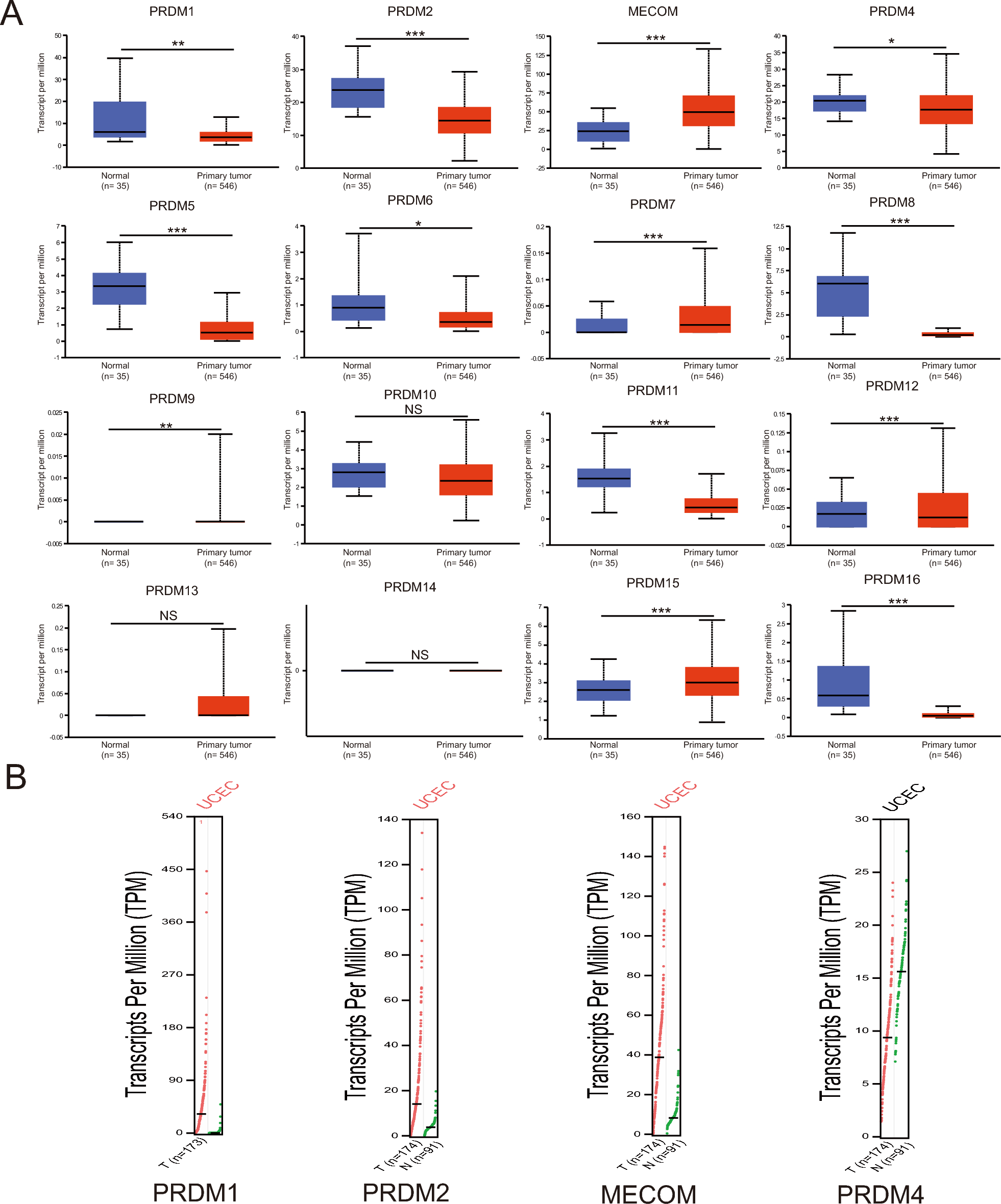 MECOM and the PRDM gene family in uterine endometrial cancer: bioinformatics and experimental insights into pathogenesis and therapeutic potentials