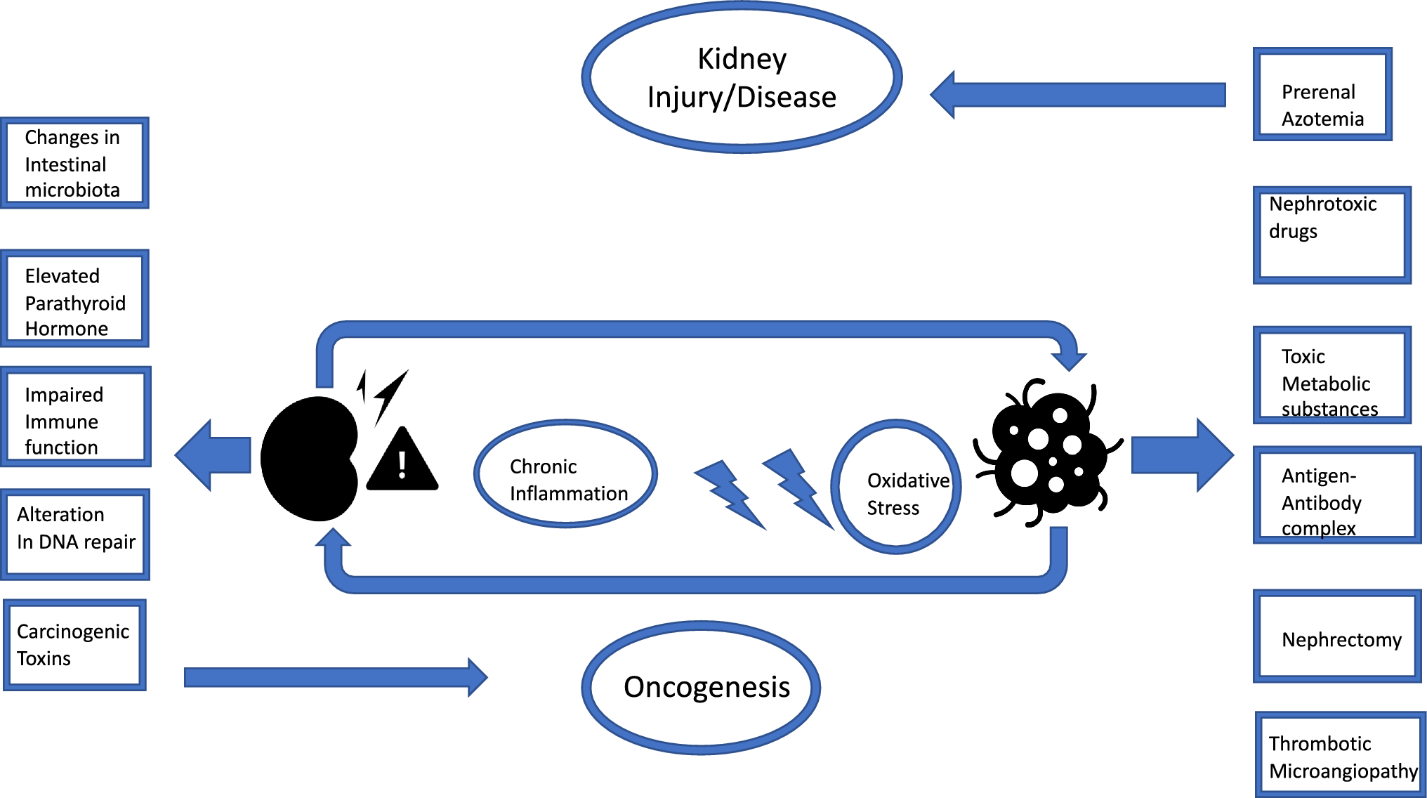 Chemotherapy in patients with severely reduced glomerular filtration rate: challenges and a call for improvement