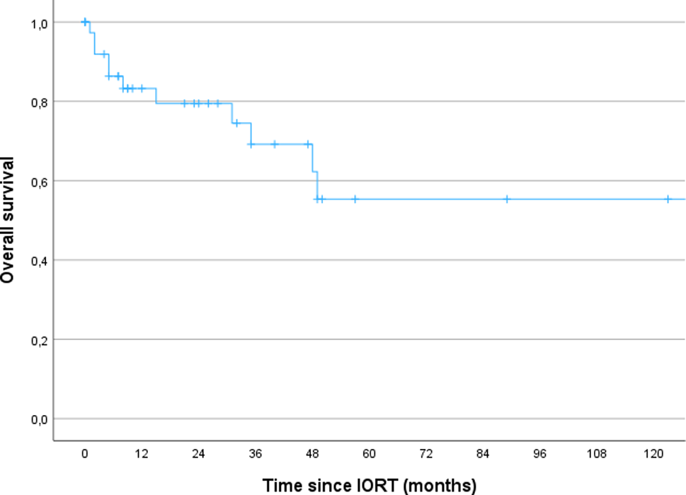 The value of a multimodal approach combining radical surgery and intraoperative radiotherapy in the recurrence treatment of gynecological malignancies - analysis of a large patient cohort in a tertiary care center