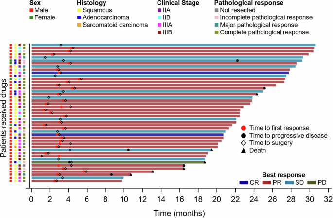 Perioperative sintilimab and neoadjuvant anlotinib plus chemotherapy for resectable non-small-cell lung cancer: a multicentre, open-label, single-arm, phase 2 trial (TD-NeoFOUR trial)