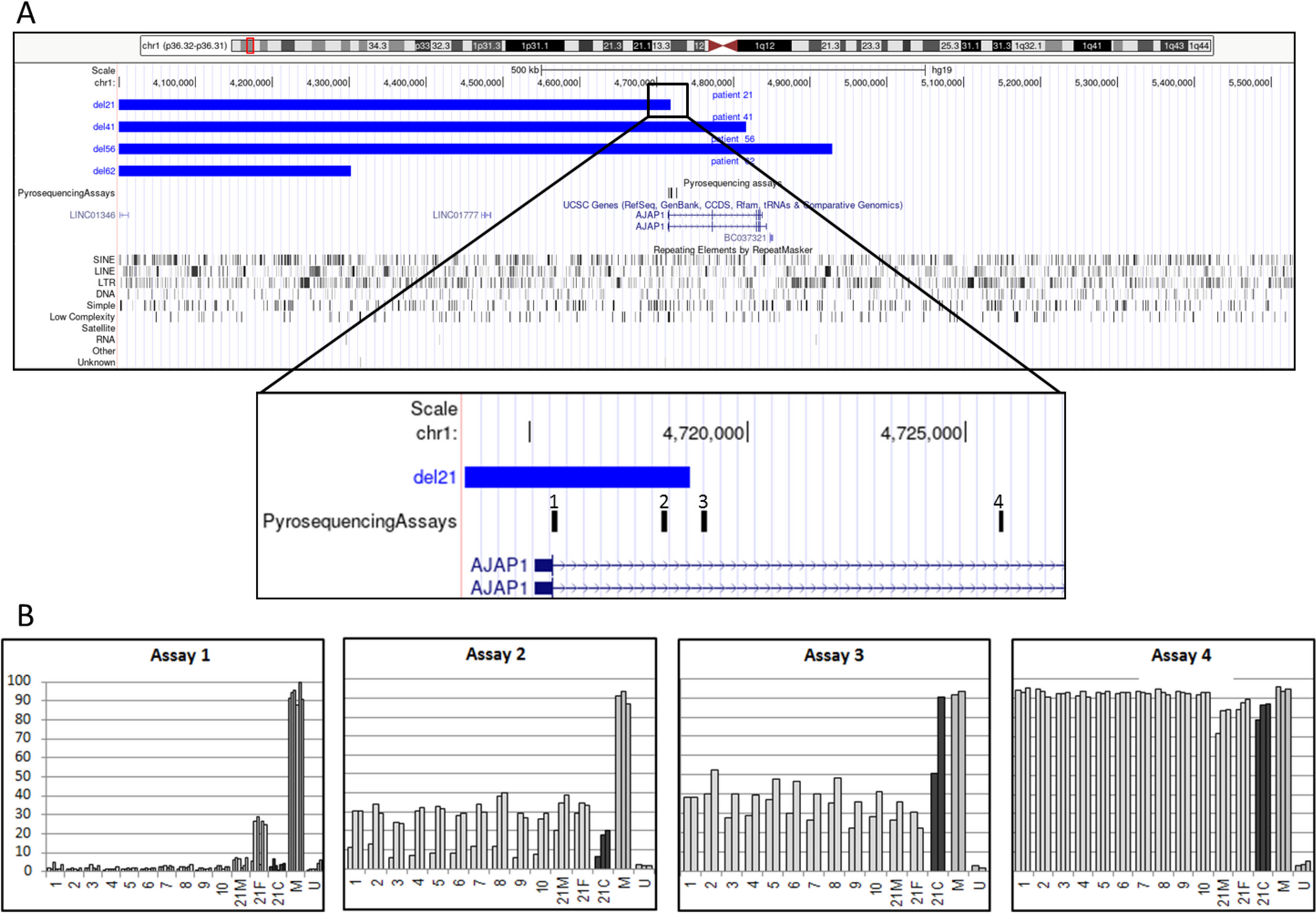 DNA methylation dysregulation patterns in the 1p36 region instability