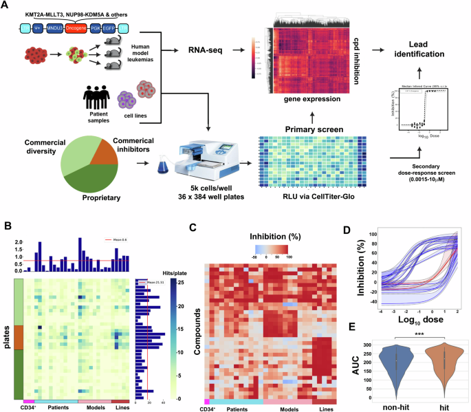 Comparative small molecule screening of primary human acute leukemias, engineered human leukemia and leukemia cell lines