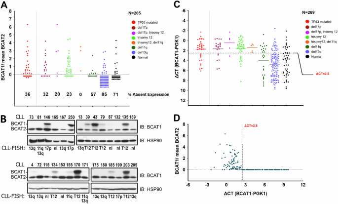 Aberrant BCAT1 expression augments MTOR activity and accelerates disease progression in chronic lymphocytic leukemia