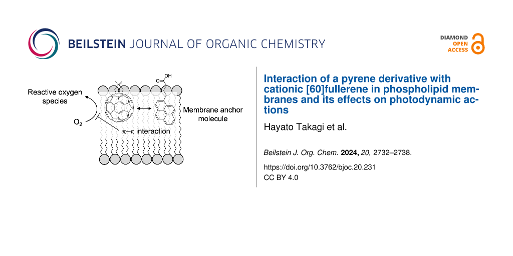 Interaction of a pyrene derivative with cationic [60]fullerene in phospholipid membranes and its effects on photodynamic actions