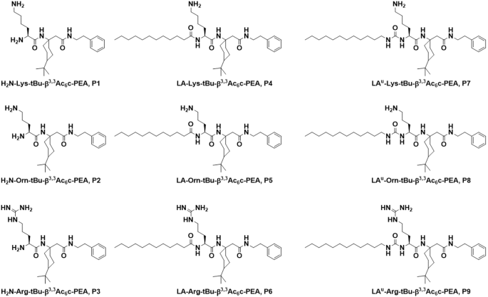 Antimicrobial activity of α/β hybrid peptides incorporating tBu-β3,3Ac6c against methicillin-resistant Staphylococcus aureus