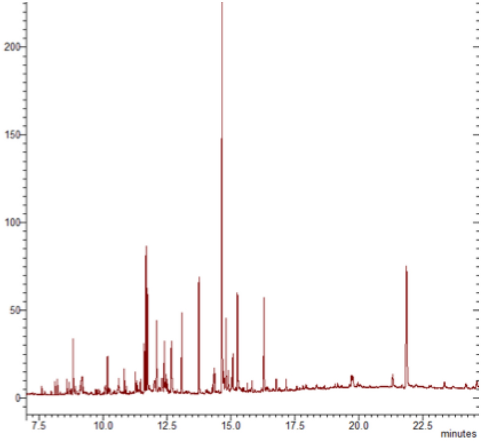 Anti-inflammatory effects of a methanol extract from Montanoa grandiflora DC. (Asteraceae) leaves on in vitro and in vivo models