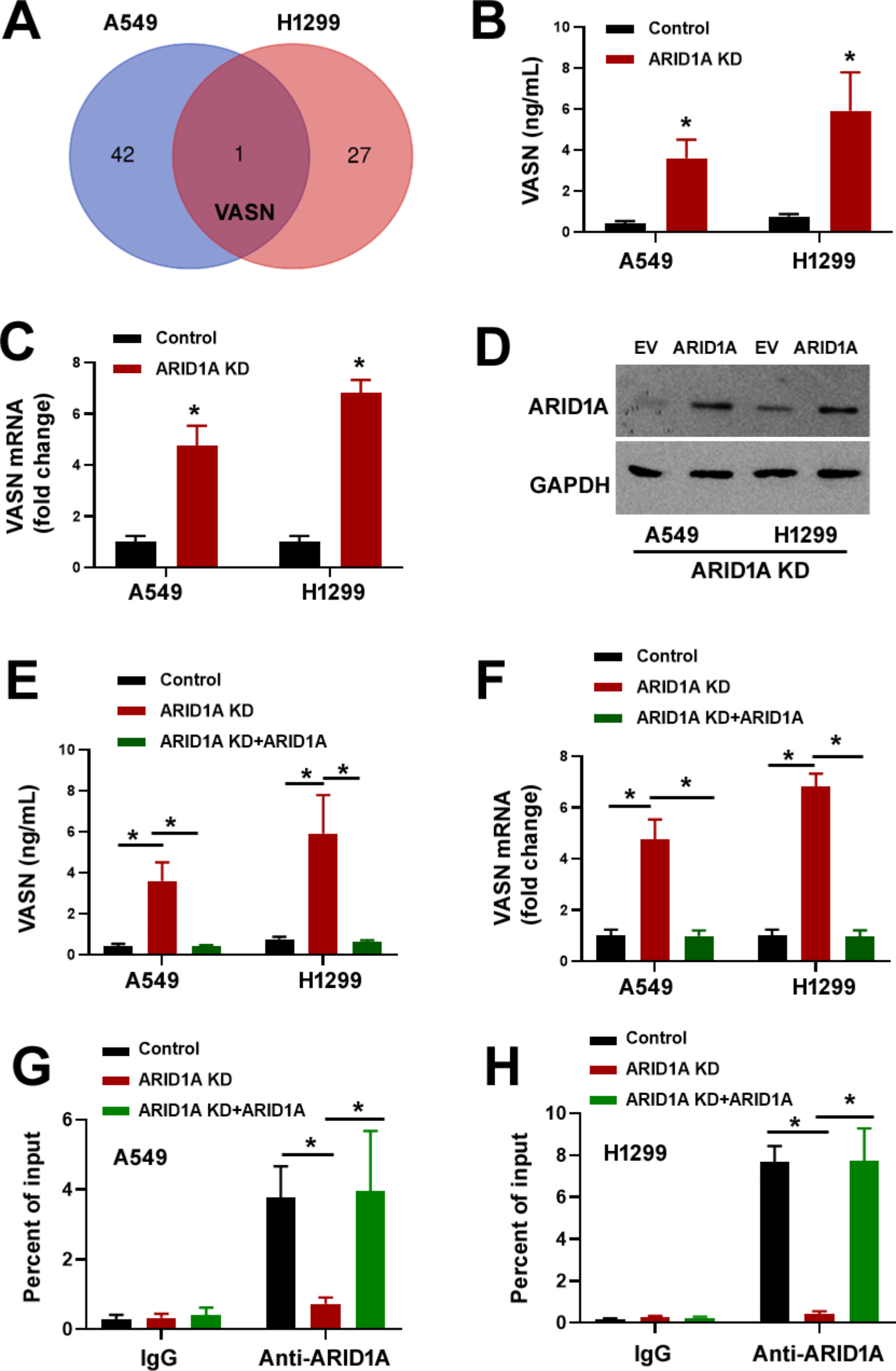 VASN promotes the aggressive phenotype in ARID1A-deficient lung adenocarcinoma