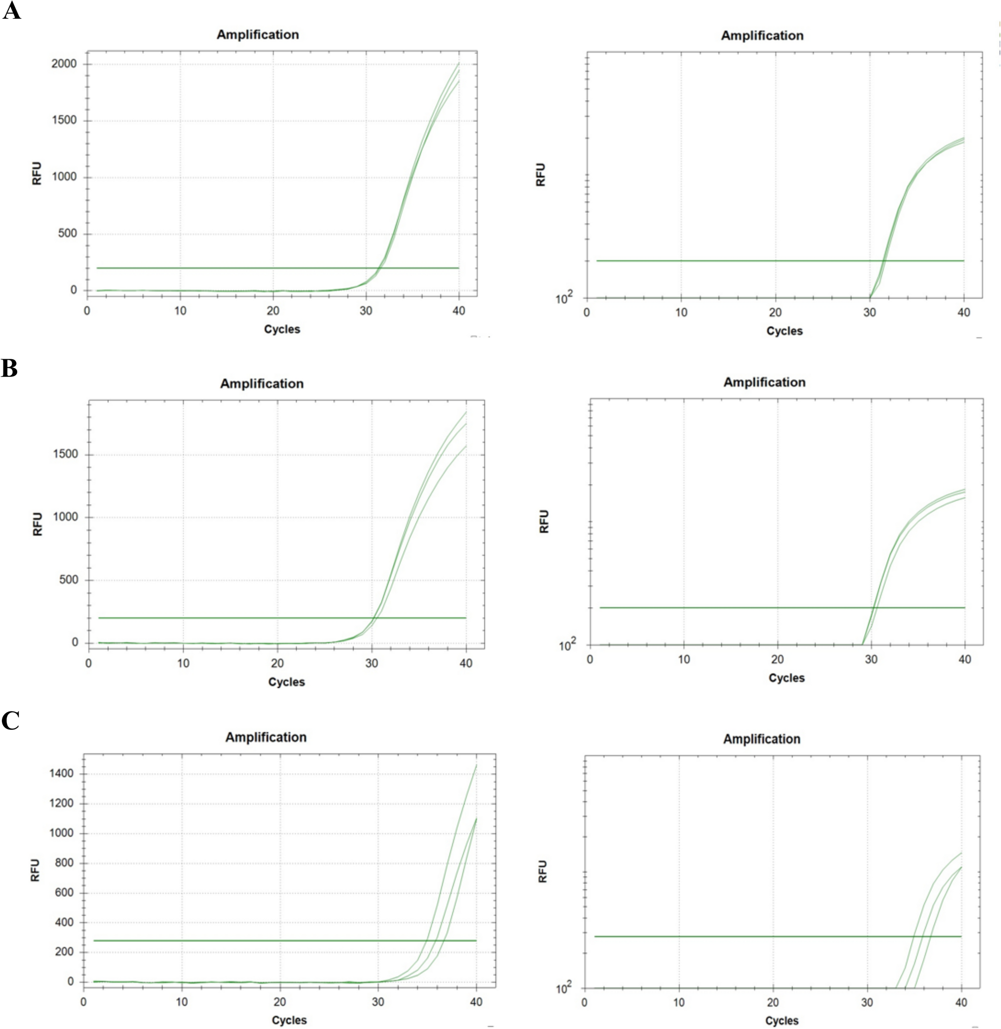 Alterations in the expression of homologous recombination repair (HRR) genes in breast cancer tissues considering germline BRCA1/2 mutation status