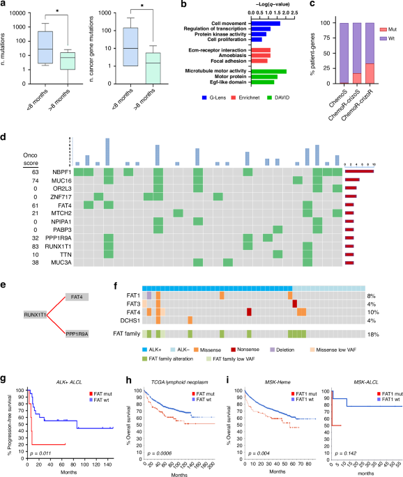 Recurrent somatic mutations of FAT family cadherins induce an aggressive phenotype and poor prognosis in anaplastic large cell lymphoma