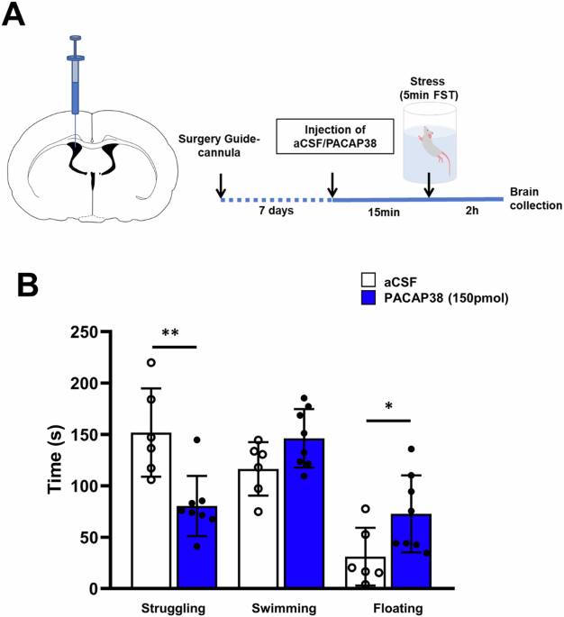 PACAP regulates neuroendocrine and behavioral stress responses via CRF-containing neurons of the rat hypothalamic paraventricular nucleus