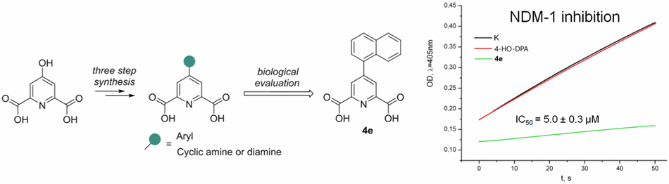 New derivatives of dipicolinic acid as metallo-β-lactamase NDM-1 inhibitors