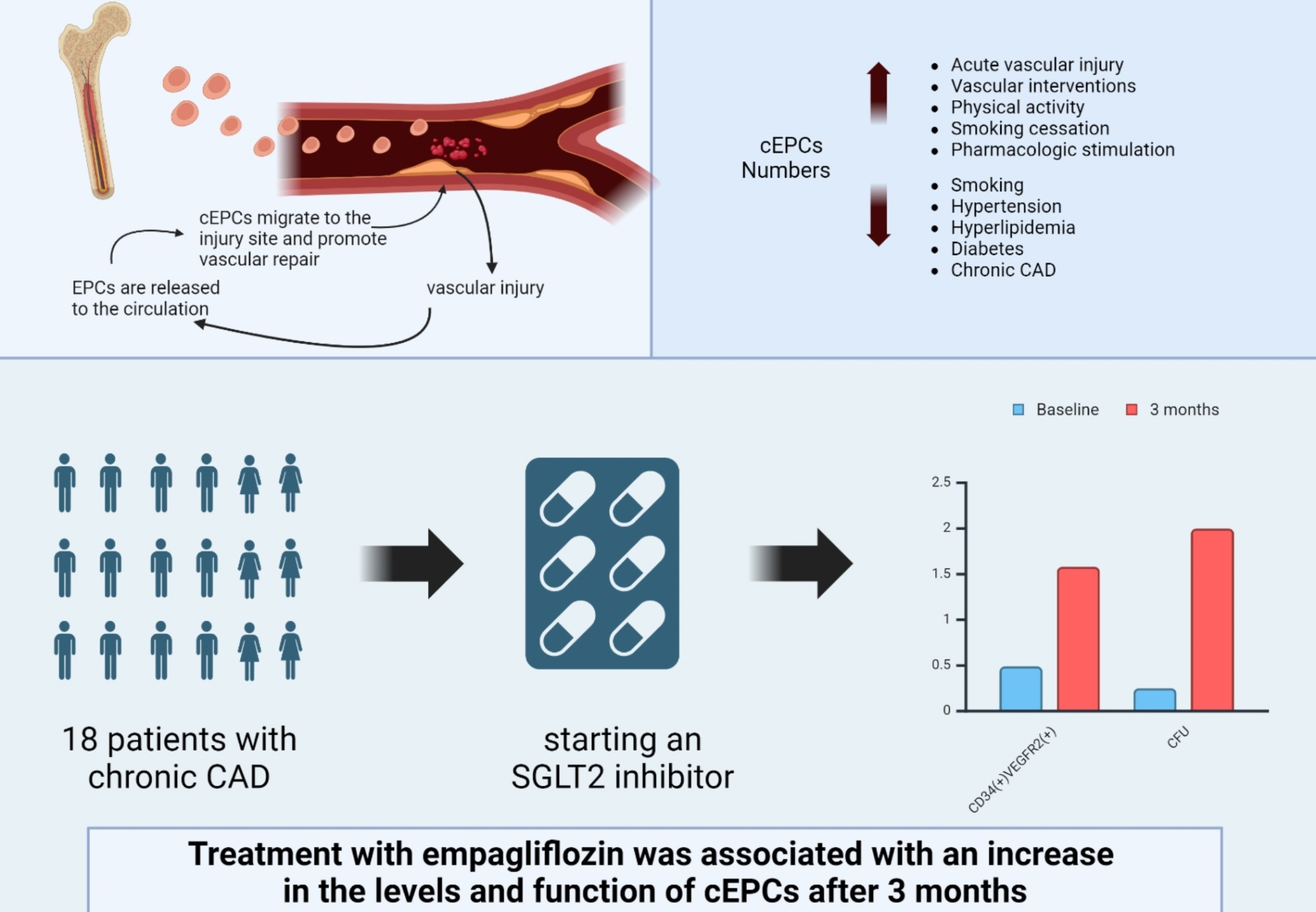 The effect of empagliflozin on circulating endothelial progenitor cells in patients with diabetes and stable coronary artery disease