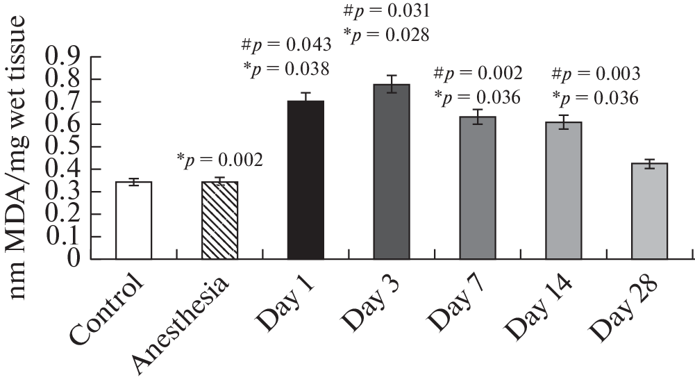 Evaluation of the Low-Energy Ultrashort Pulsed Electron Beam Irradiation-Induced Oxidative Stress and Adaptive Response of Select Enzymes in a Rat Brain