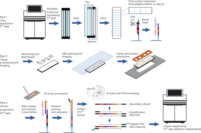 Seq-Scope: repurposing Illumina sequencing flow cells for high-resolution spatial transcriptomics