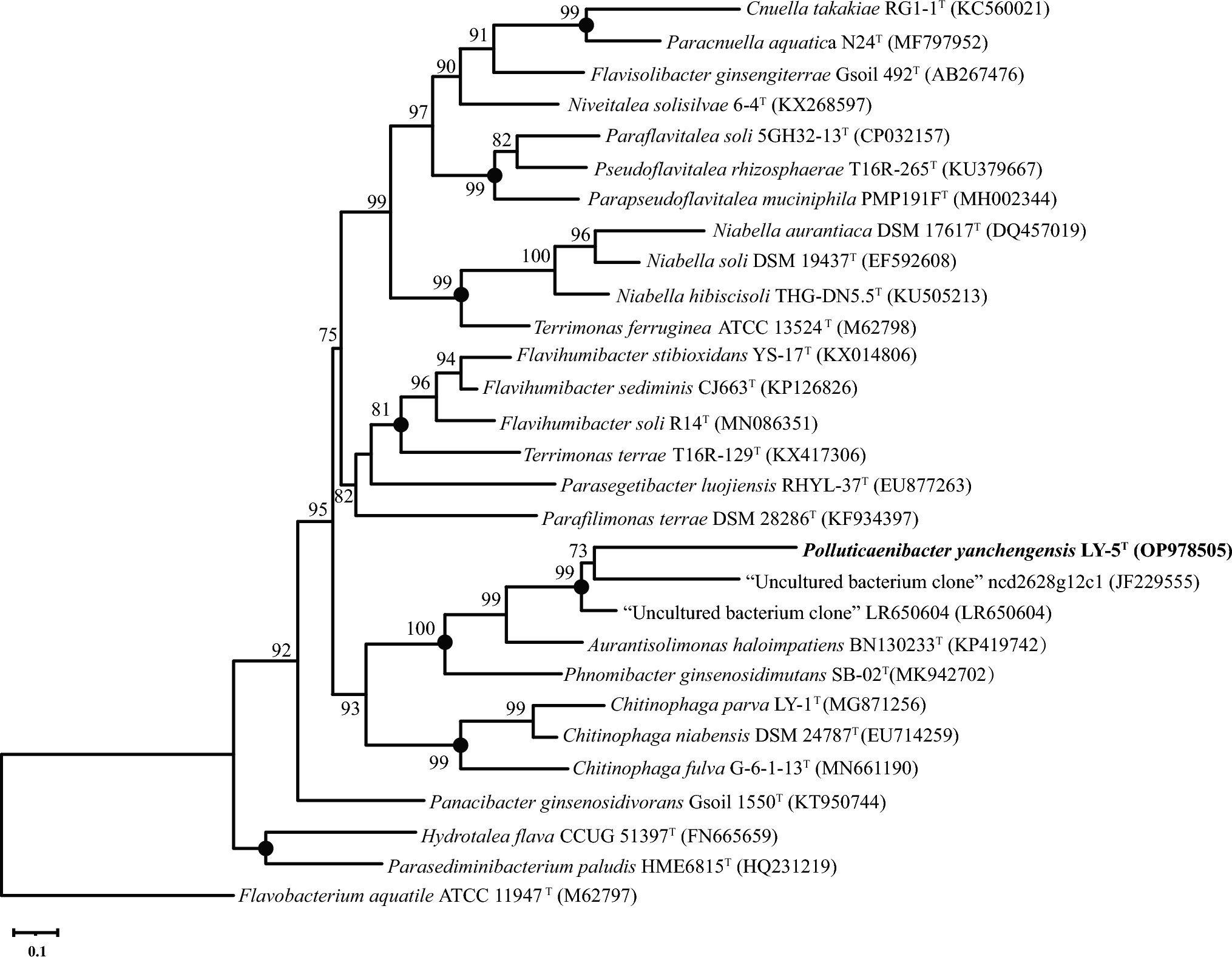 Polluticaenibacter yanchengensis gen. nov., sp. nov., A Novel Taxon Within the Family Chitinophagaceae Isolated from Activated Sludge