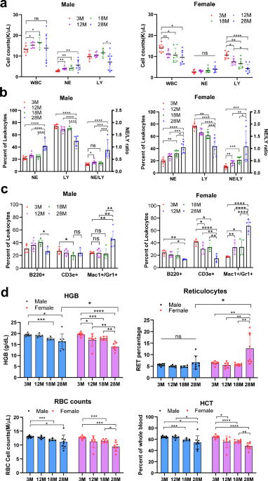 Sex-dependent differences in hematopoietic stem cell aging and leukemogenic potential